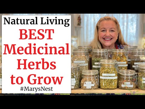 , title : '10 Essential Medicinal Herbs to Grow for Making Home Remedies