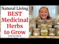 Backyard Medicine Harvest And Make Your Own Herbal Remedies