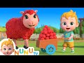 Baa Baa Color Sheep Colors Song For Kids Nursery Rhymes Kids Songs NuNu Tv