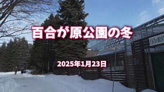 2025年1月23日 百合が原公園の冬
