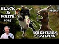 Black White 2001 Unsere Kuh Geht Zur Schule Folge 3