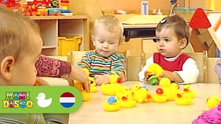 Alle Eendjes Zwemmen In Het Water