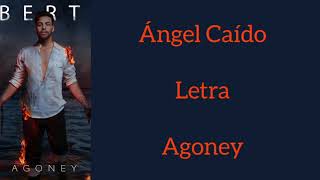 ÁNGEL CAÍDO/LETRA/AGONEY