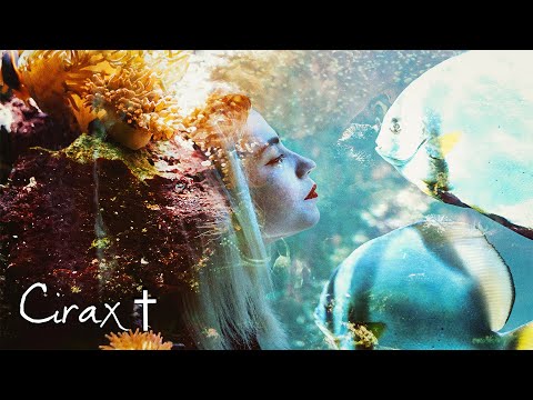 Module Module - Artifacta (Free Download) [Future Garage]