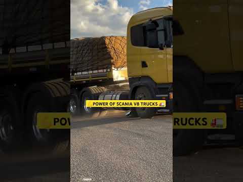 SCANIA YELLOW V8 💪🚛 POWERFULL TRUCKS 👑#scania#scaniav8 #scaniatrucks #shots