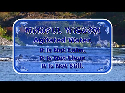 MW 2401 Agitated Water