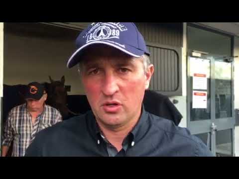 Sébastien Guarato (Carat Williams, Eridan et Ecu Pierji)