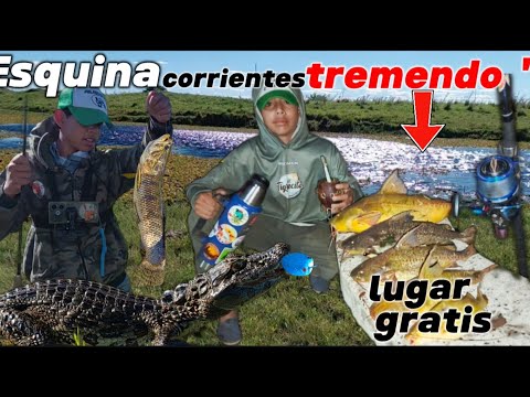 #pesca de costa #esquina#corrientes #rioparaná#laguna#rioparaná #lineadepesca #fishing #carretes