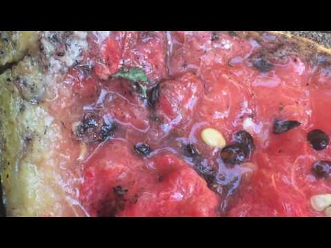 Martwy pies znaleziony w metrze