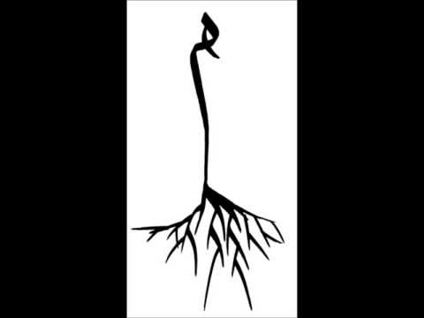 الفرعي و الرأس aka السيّد و { ميم }