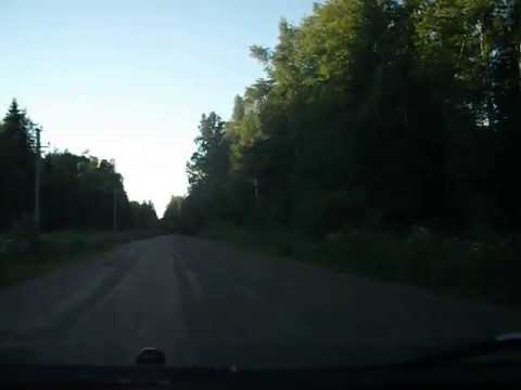 Копорская дорога