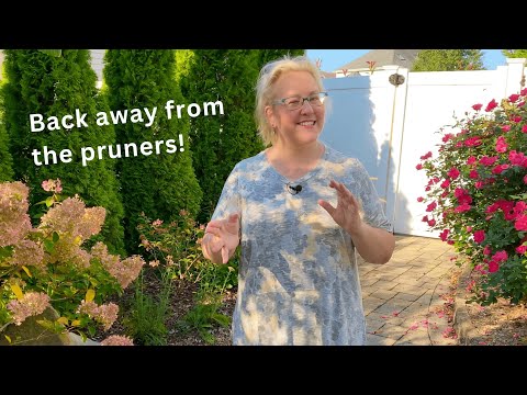 Fall Cleanup Guide: What to Prune and What to Leave for Spring