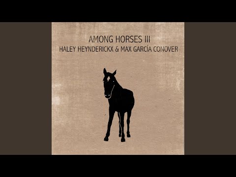 The Crow Song - Haley Heynderickx
