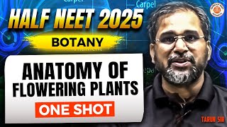 ANATOMY OF FLOWERING PLANTS CLASS 11 ONE SHOT | ALL CONCEPTS & THEORY | HALF NEET 2025 BY TARUN SIR