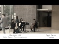 David Guetta - Titanium - String Quartet COVER GTA ...