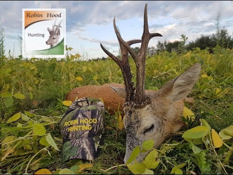 MEDAL ROEBUCK HUNTING Hunting in Poland with Robin Hood Hunting Agency