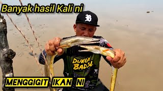 Download lagu Memukat Malam Apa Hasilnya/Pantai Kelanang Banting. #gengdunia mp3 Download lagu Memukat Malam Apa Hasilnya/Pantai Kelanang Banting. #gengdunia mp3