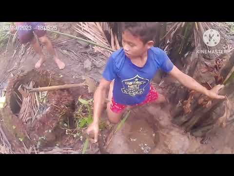 ep263sobrang lalim ng hinukay namin para makuha ang mahiwagang alimango September 24, 2023