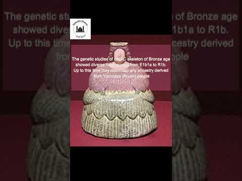 #shorts #shortvideo #heritage #Bactria #BMAC #CentralAsia #Gentics