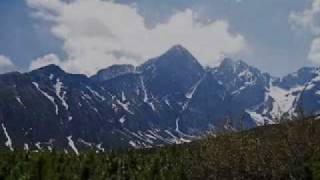 look who's lonely now - ricky peterson