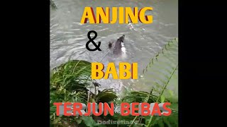 Download lagu Moro bagong di banjarsari (kalijati) mp3 Download lagu Moro bagong di banjarsari (kalijati) mp3