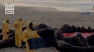 'Stranger Things' Installation Appears on Australia Beach