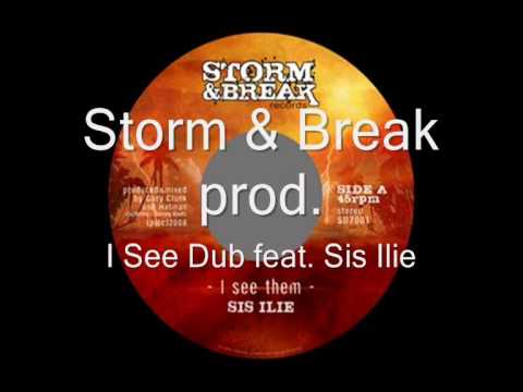 Storm & Break - Gary Clunk & Hatman feat Sis Ilie: I See Dub