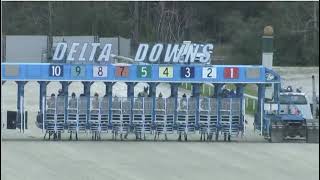 RACE 7 - DELTA DOWNS - 29 DEC 2025