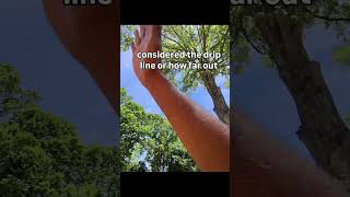 Trees can cost you thousands on a development deal if you don't know this