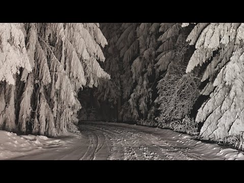 Virtual Drive Through Snow in Mountains at Night (Nature Sounds for Sleep, Winter Storm ASMR)
