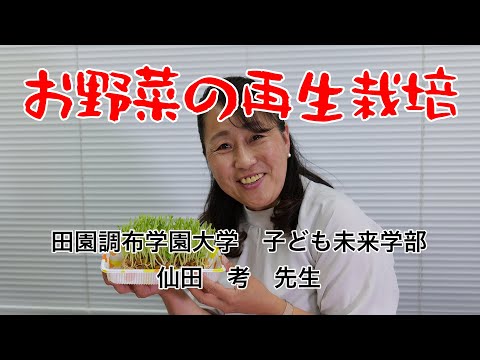 018:お野菜の再生栽培【子どもゆうちゅう部】