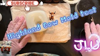 Resin Project-Highland Cow! Time to Test the Mold!