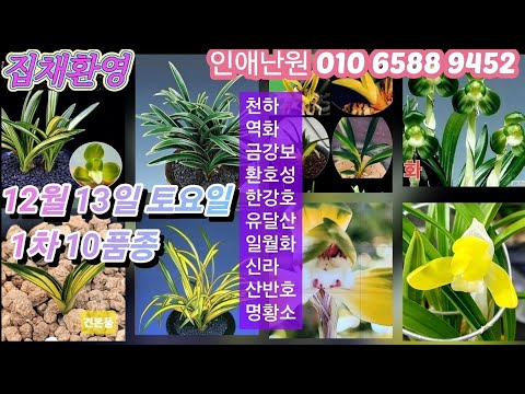 유튜브 썸네일