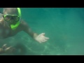 Man From Speedo