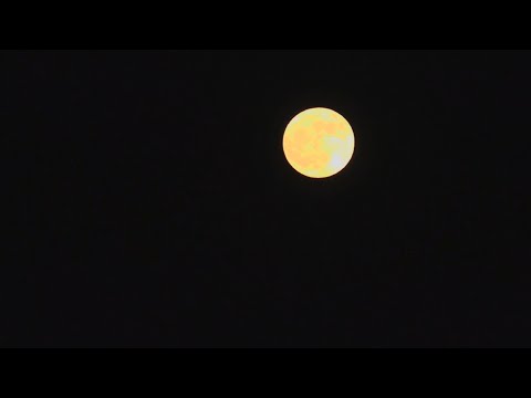【第二十五回】満月の日