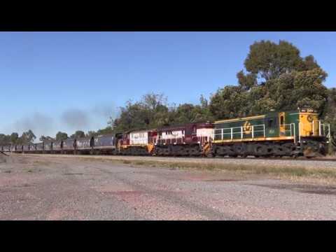 869 4814 852 with train 9365 at Leeton 30 April 17