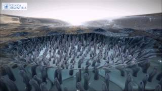 Sequedad ocular y las Lagrimas artificiales