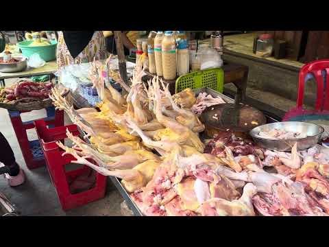 Amazing site distributes sea food & fish @ler maker -morning fish market scene show