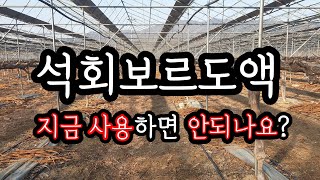 #샤인머스켓 #포도 #석회보르도액 동계방제용으로 사용해도 되나요?