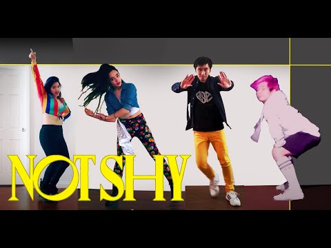 [NEVR] ITZY - NOT SHY - DANCE COVER