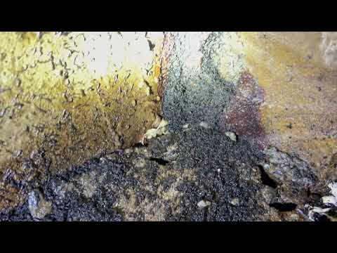 Massive Drain Fly Infestation in Restaurants Crawl Space in Highland Park, NJ