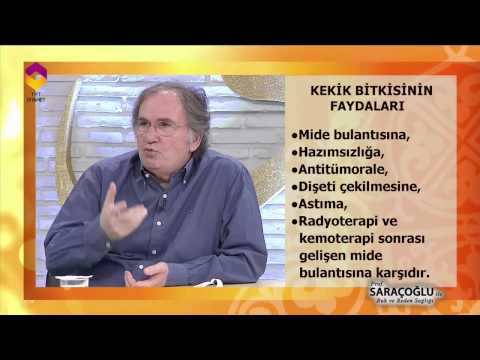 Kekik Bitkisinin Faydaları - DİYANET TV