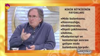 Kekik Bitkisinin Faydaları - TRT DİYANET