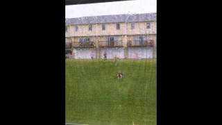 There Goes The Neighborhood