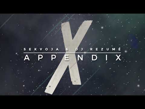 Sekvoja & Dj Rezumé - Appendix