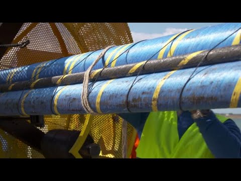 Terna, al via nuovo collegamento elettrico sottomarino sostenibile