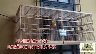 ELSHADAY-161