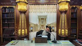 הרב מאיר דוד שמואלי - הלכות שבת שולחן ערוך סימן רס"א