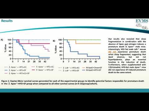 Thumbnail image of video presentation for A Mystery In the Making: Premature Death Of Males In A Model Of Atherosclerosis