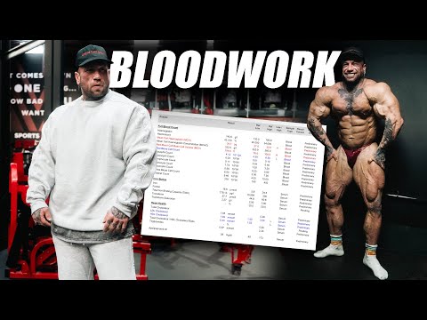 MEINE BLUTWERTE 6 WOCHEN NACH DER SHOW